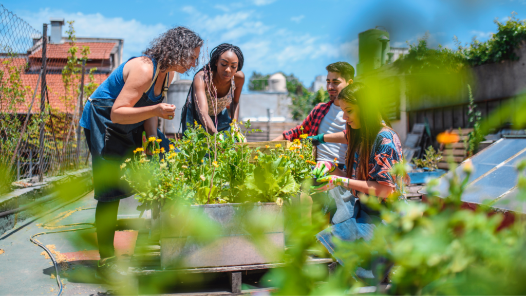 Sustaining Motivation_ Recognition and Community Enrichment